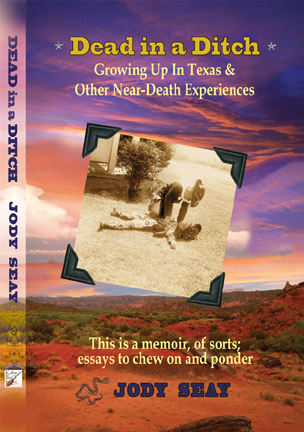 Book cover for Dead in a Ditch