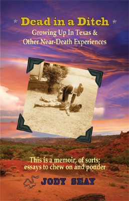 Dead in a Ditch: Growing up in Texas and other near-death experiences by Jody Seay