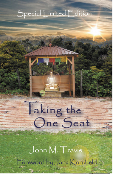 Taking the One Seat Book Cover, Author John Travis